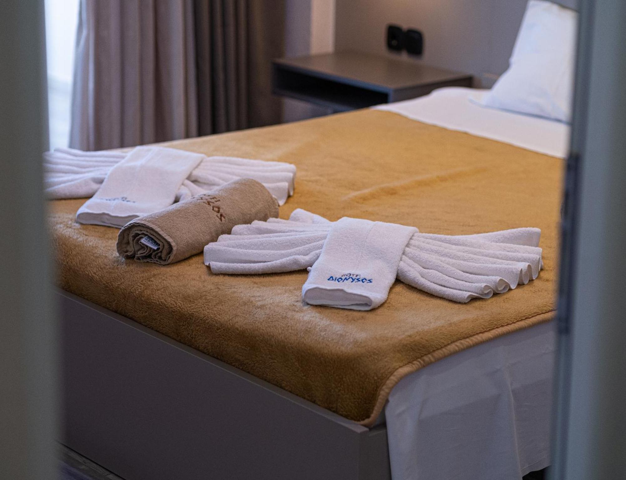 Hotel Dionysos Polichrono ポリフロノ エクステリア 写真